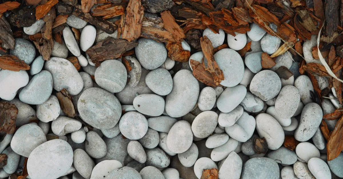 découvrez où obtenir des copeaux de bois gratuits pour votre jardin, paillage ou compostage. profitez d'une solution écologique et économique pour embellir vos espaces verts.