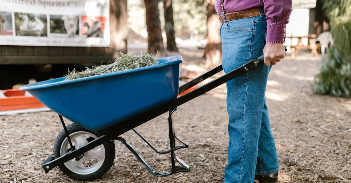 découvrez comment obtenir des copeaux de bois gratuits pour vos projets de jardinage, paillage ou bricolage. obtenez des conseils pratiques pour récupérer et utiliser ces matériaux naturels sans frais.