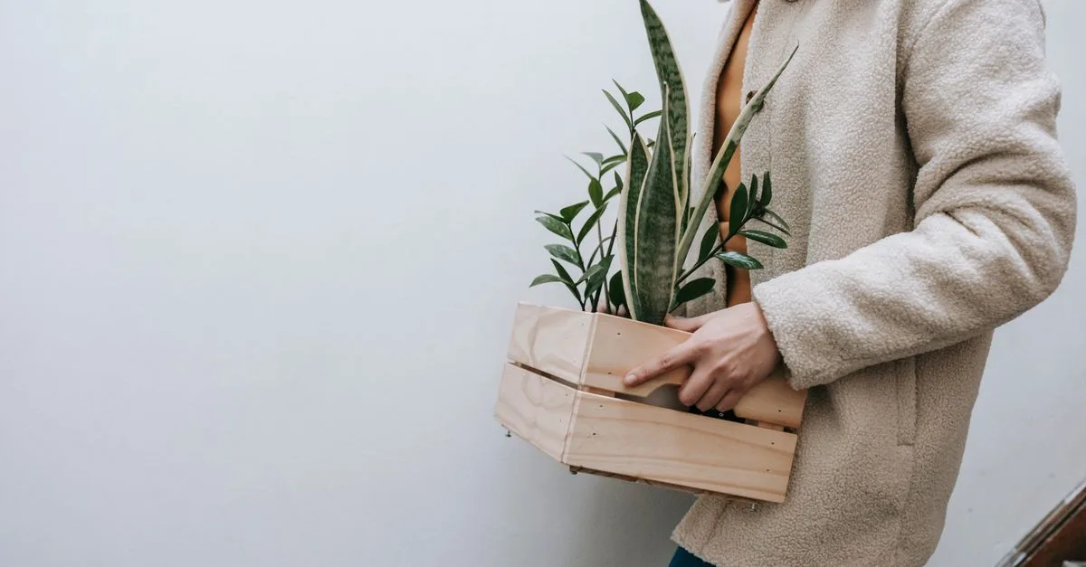 conseils pratiques et astuces pour déménager vos plantes en toute sécurité et préserver leur santé pendant le transport.