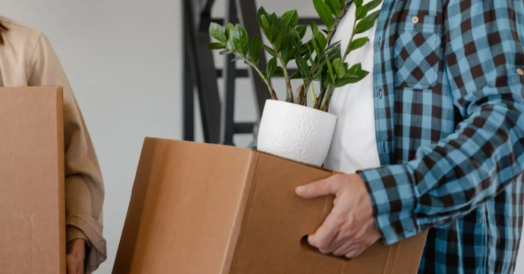 découvrez nos conseils et astuces pratiques pour déplacer vos plantes en toute sécurité et sans stress, afin de préserver leur santé et leur croissance.