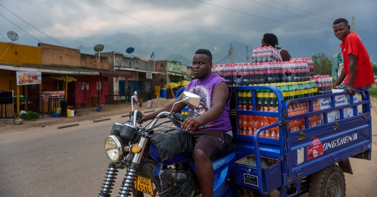 solutions sécurisées et efficaces pour le transport de bouteilles en verre, assurant protection et intégrité tout au long du trajet.